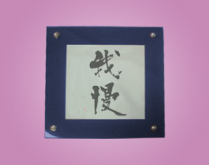 �t�H�g��(SHO)300